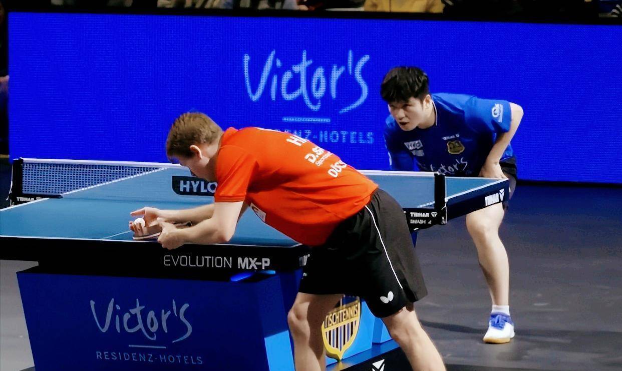 德甲版王者打新手村，樊振东26分钟横扫对手，豪格却觉得大意了